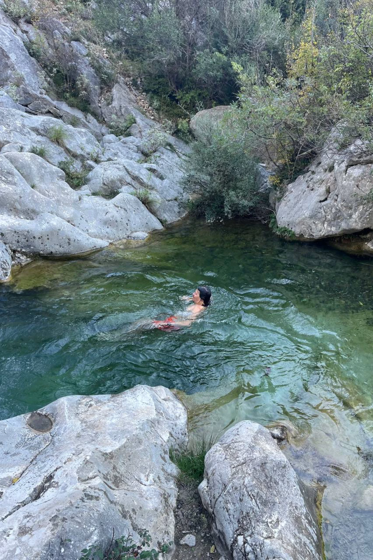 Ловим на живца